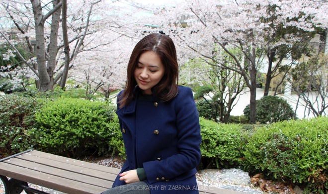 Busan Museum Cherry Blossoms Garden 부산시립박물관 Travel Blog